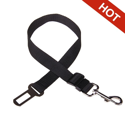 Pet Seat Belt (FREE TODAY)